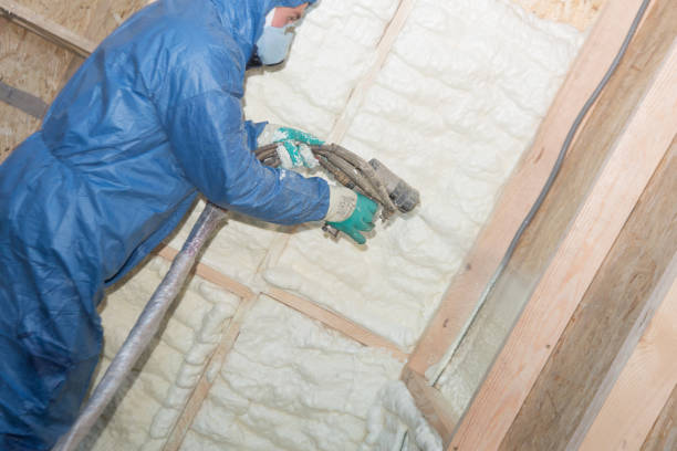 Best Crawl Space Insulation  in Sylacauga, AL